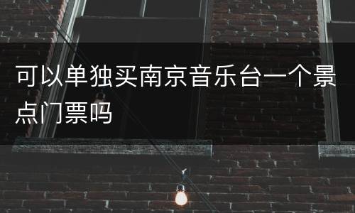 可以单独买南京音乐台一个景点门票吗