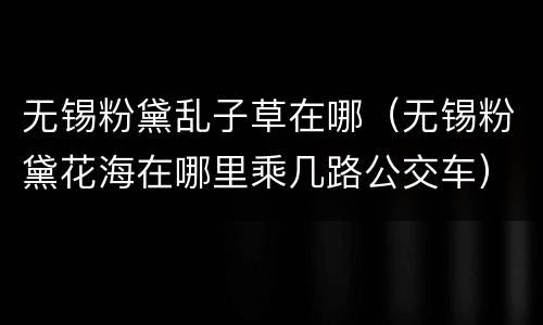 无锡粉黛乱子草在哪（无锡粉黛花海在哪里乘几路公交车）