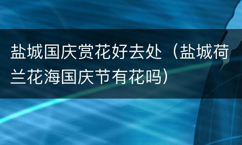 盐城国庆赏花好去处（盐城荷兰花海国庆节有花吗）