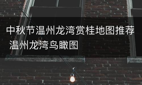 中秋节温州龙湾赏桂地图推荐 温州龙湾鸟瞰图