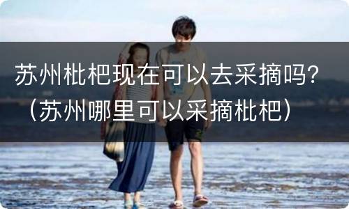 苏州枇杷现在可以去采摘吗？（苏州哪里可以采摘枇杷）