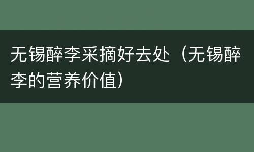 无锡醉李采摘好去处（无锡醉李的营养价值）