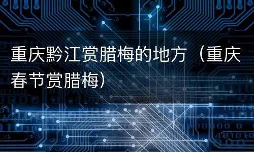 重庆黔江赏腊梅的地方（重庆春节赏腊梅）