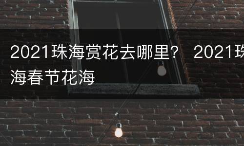2021珠海赏花去哪里？ 2021珠海春节花海