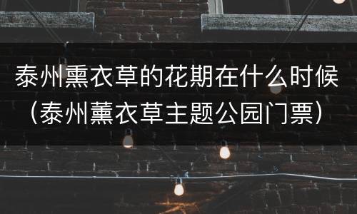 泰州熏衣草的花期在什么时候（泰州薰衣草主题公园门票）