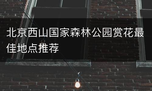 北京西山国家森林公园赏花最佳地点推荐