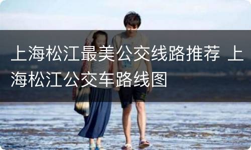 上海松江最美公交线路推荐 上海松江公交车路线图