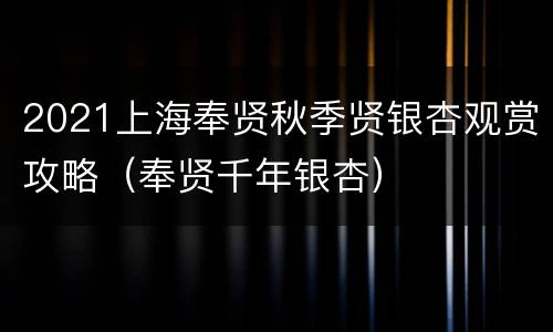 2021上海奉贤秋季贤银杏观赏攻略（奉贤千年银杏）