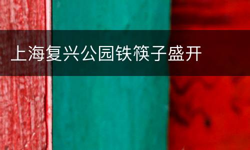 上海复兴公园铁筷子盛开