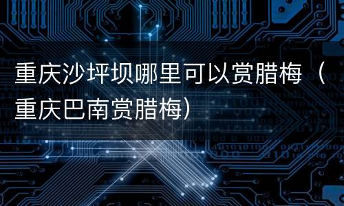 重庆沙坪坝哪里可以赏腊梅（重庆巴南赏腊梅）