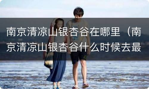 南京清凉山银杏谷在哪里（南京清凉山银杏谷什么时候去最美）