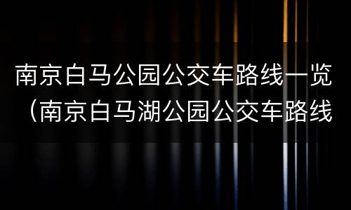 南京白马公园公交车路线一览（南京白马湖公园公交车路线）