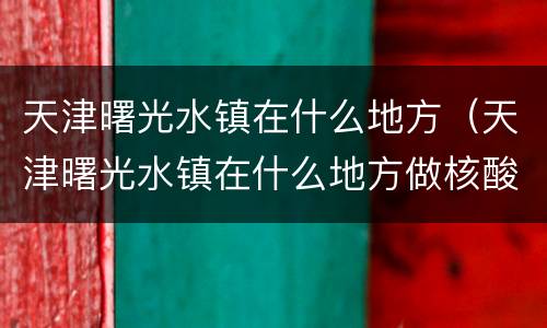 天津曙光水镇在什么地方（天津曙光水镇在什么地方做核酸）