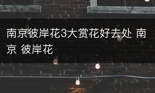 南京彼岸花3大赏花好去处 南京 彼岸花
