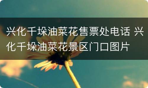 兴化千垛油菜花售票处电话 兴化千垛油菜花景区门口图片