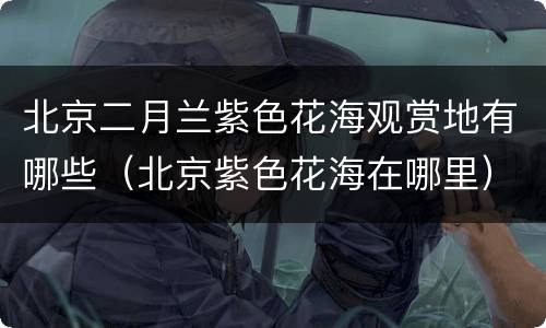 北京二月兰紫色花海观赏地有哪些（北京紫色花海在哪里）