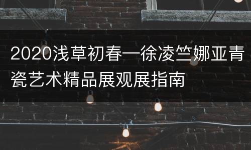 2020浅草初春—徐凌竺娜亚青瓷艺术精品展观展指南