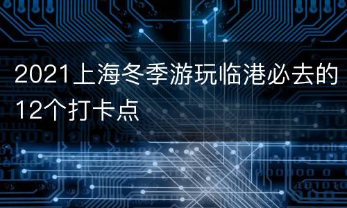 2021上海冬季游玩临港必去的12个打卡点
