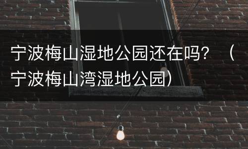 宁波梅山湿地公园还在吗？（宁波梅山湾湿地公园）