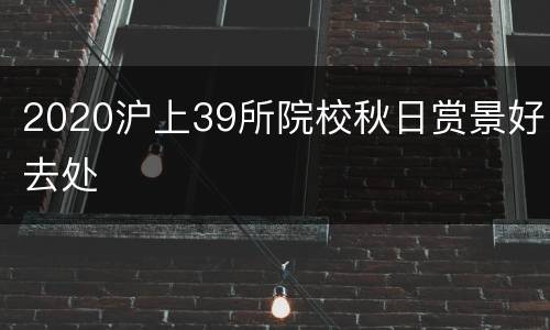 2020沪上39所院校秋日赏景好去处