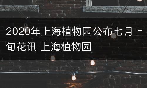 2020年上海植物园公布七月上旬花讯 上海植物园