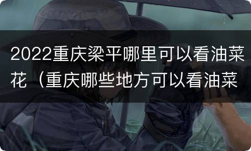 2022重庆梁平哪里可以看油菜花（重庆哪些地方可以看油菜花）