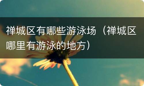 禅城区有哪些游泳场（禅城区哪里有游泳的地方）