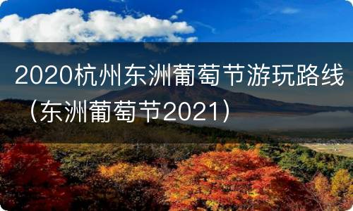 2020杭州东洲葡萄节游玩路线（东洲葡萄节2021）
