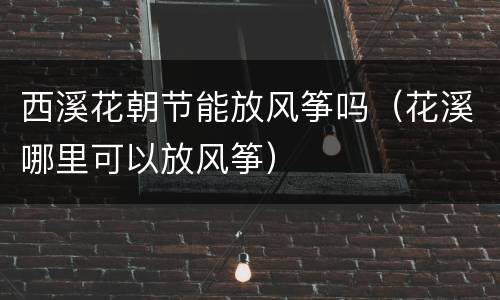 西溪花朝节能放风筝吗（花溪哪里可以放风筝）
