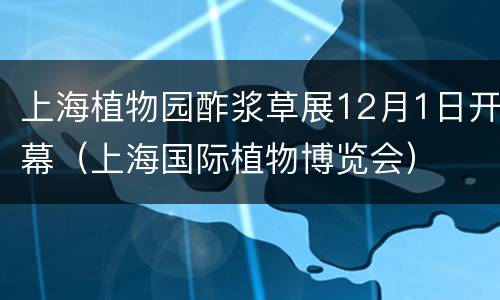上海植物园酢浆草展12月1日开幕（上海国际植物博览会）