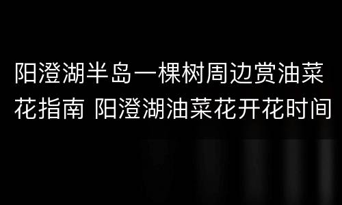 阳澄湖半岛一棵树周边赏油菜花指南 阳澄湖油菜花开花时间