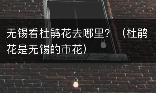 无锡看杜鹃花去哪里？（杜鹃花是无锡的市花）