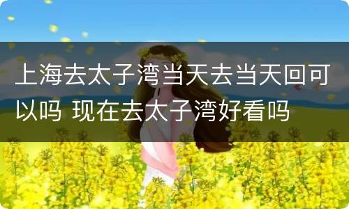上海去太子湾当天去当天回可以吗 现在去太子湾好看吗