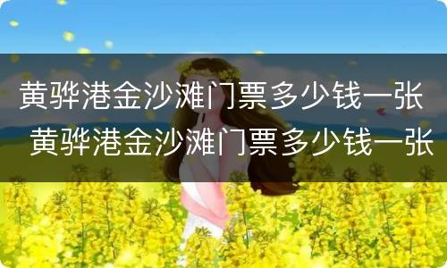 黄骅港金沙滩门票多少钱一张 黄骅港金沙滩门票多少钱一张60岁以收费吗