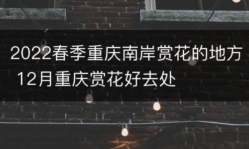 2022春季重庆南岸赏花的地方 12月重庆赏花好去处