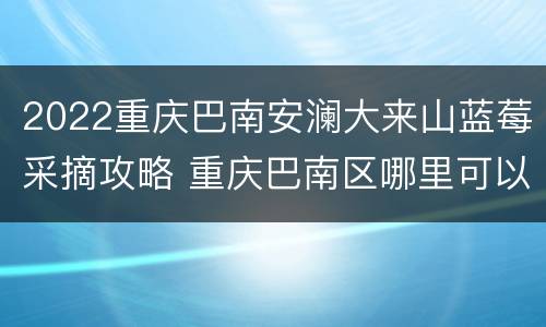 2022重庆巴南安澜大来山蓝莓采摘攻略 重庆巴南区哪里可以摘蓝莓