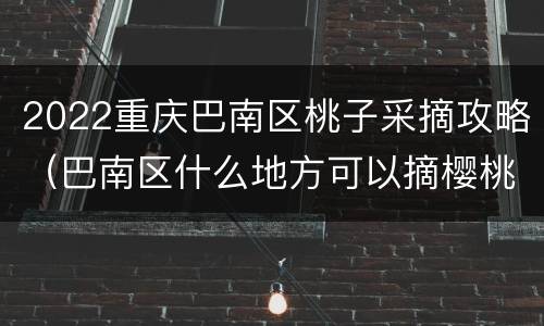 2022重庆巴南区桃子采摘攻略（巴南区什么地方可以摘樱桃）