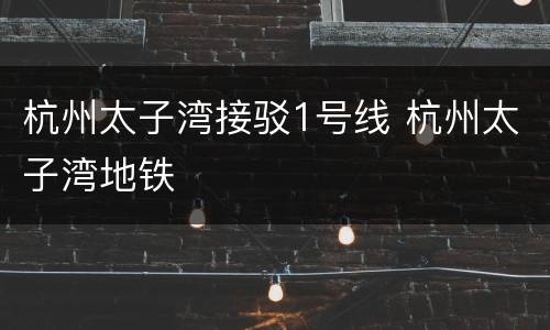 杭州太子湾接驳1号线 杭州太子湾地铁