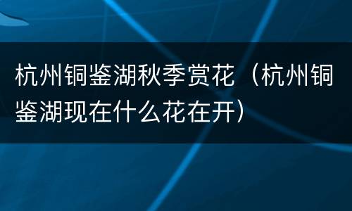 杭州铜鉴湖秋季赏花（杭州铜鉴湖现在什么花在开）