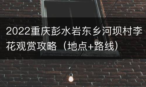 2022重庆彭水岩东乡河坝村李花观赏攻略（地点+路线）