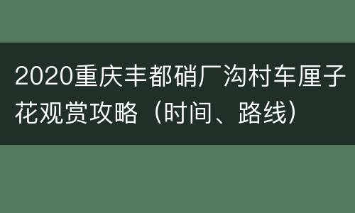 2020重庆丰都硝厂沟村车厘子花观赏攻略（时间、路线）