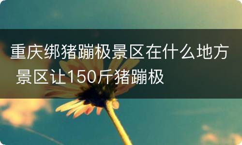 重庆绑猪蹦极景区在什么地方 景区让150斤猪蹦极