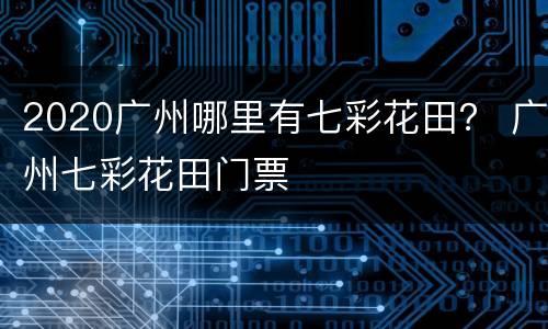 2020广州哪里有七彩花田？ 广州七彩花田门票