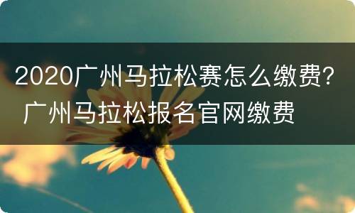 2020广州马拉松赛怎么缴费？ 广州马拉松报名官网缴费