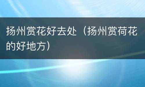 扬州赏花好去处（扬州赏荷花的好地方）
