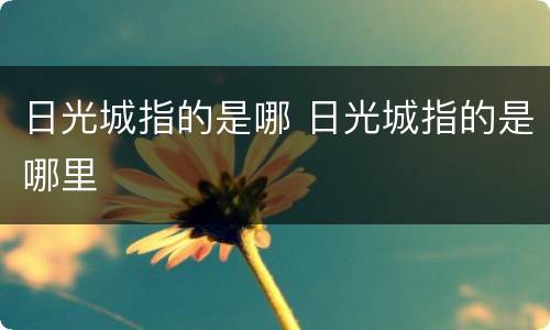 日光城指的是哪 日光城指的是哪里