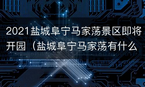 2021盐城阜宁马家荡景区即将开园（盐城阜宁马家荡有什么游玩的东西）