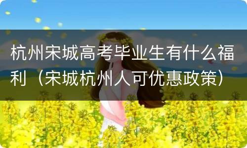 杭州宋城高考毕业生有什么福利（宋城杭州人可优惠政策）