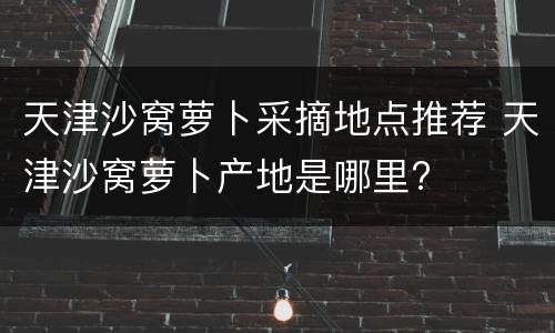 天津沙窝萝卜采摘地点推荐 天津沙窝萝卜产地是哪里?