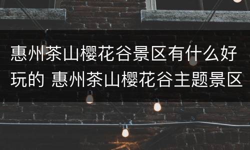 惠州茶山樱花谷景区有什么好玩的 惠州茶山樱花谷主题景区视频